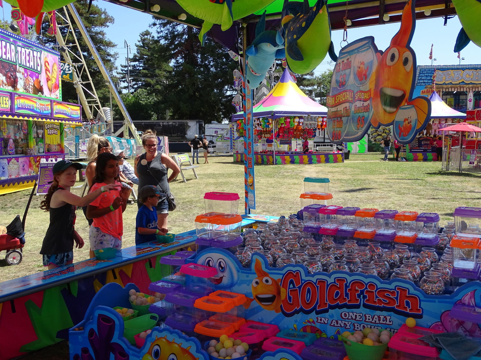 Napa Town & Country Fair 2019